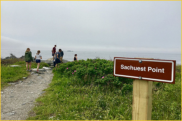 enjoy an easy relaxing seaside hike at sachuest point in middletown